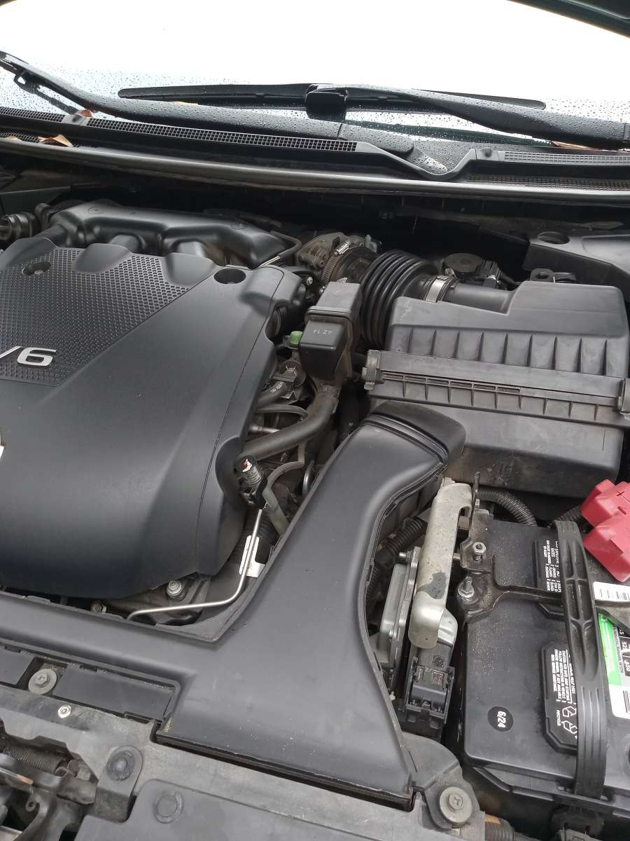 Nissan maximum