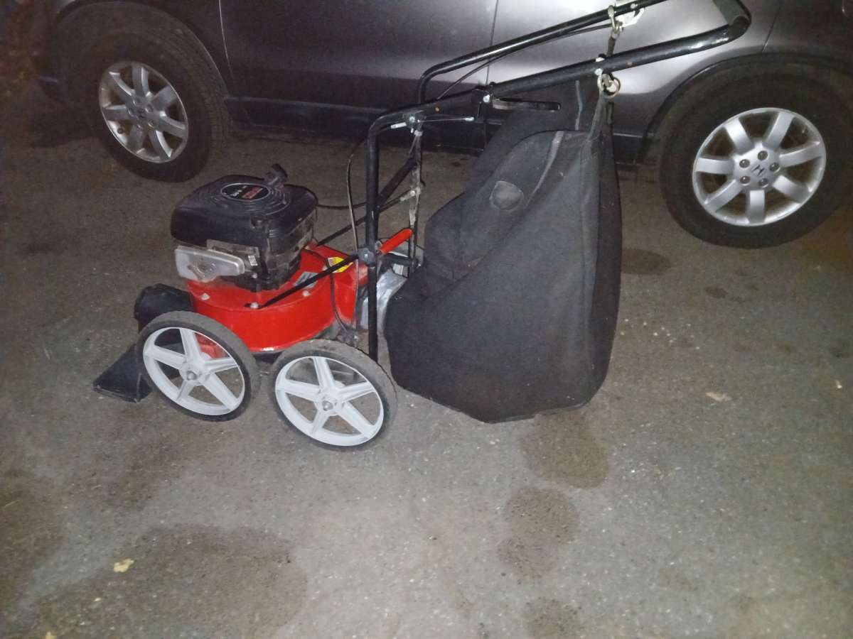 Briggs n Stratton leaf sucker