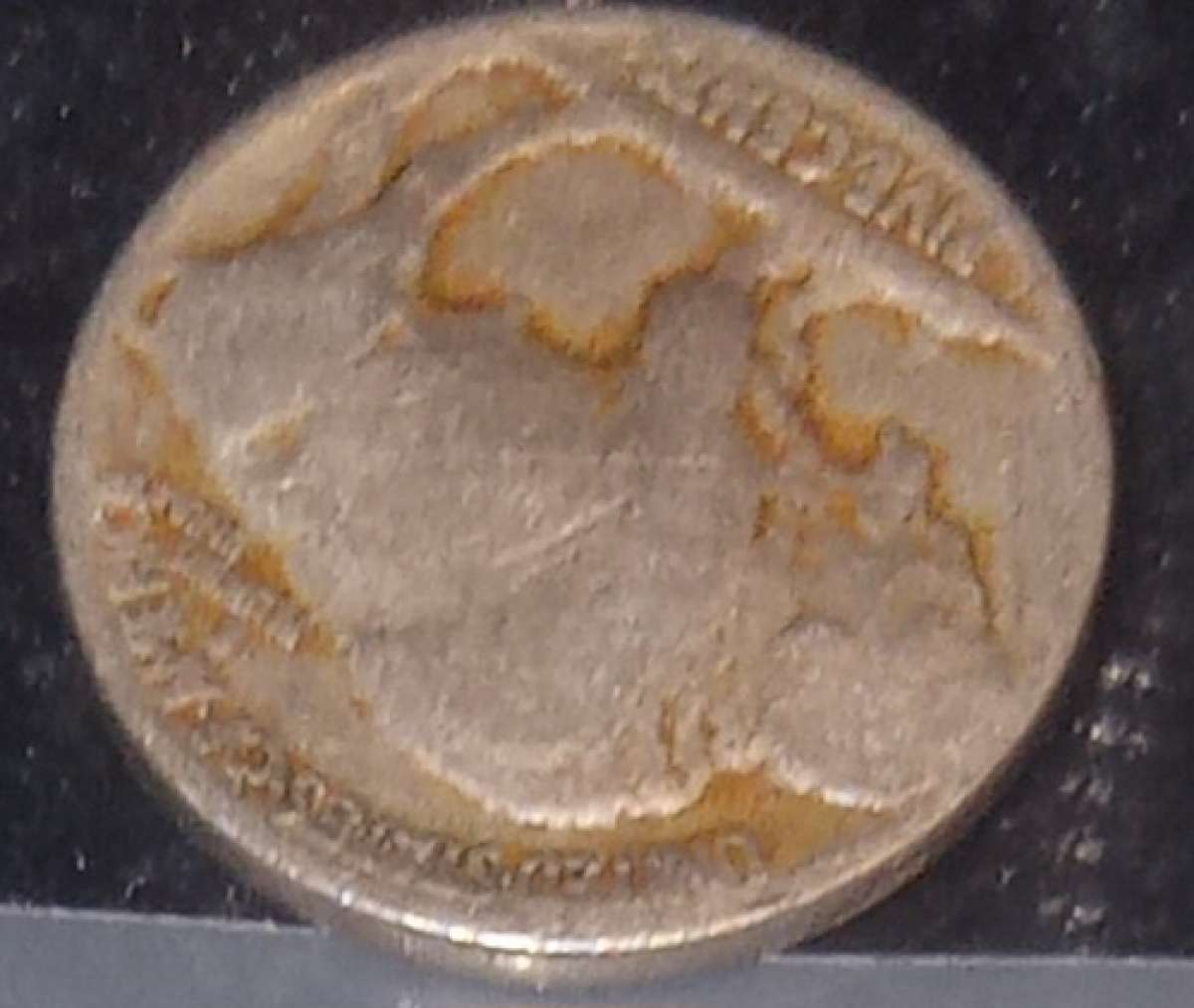 vintage buffalo nickles 5