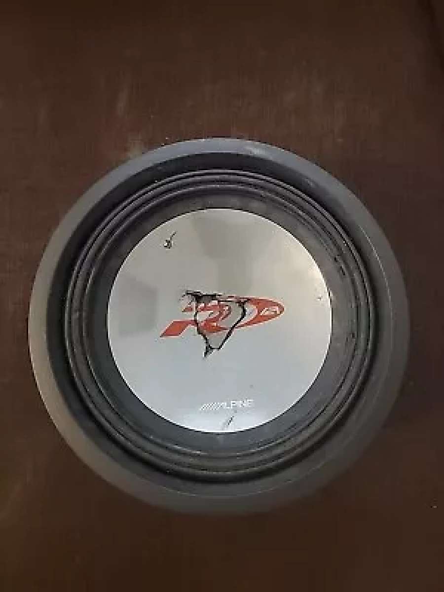 2 Alpine TypeR 12 Inch Speakers