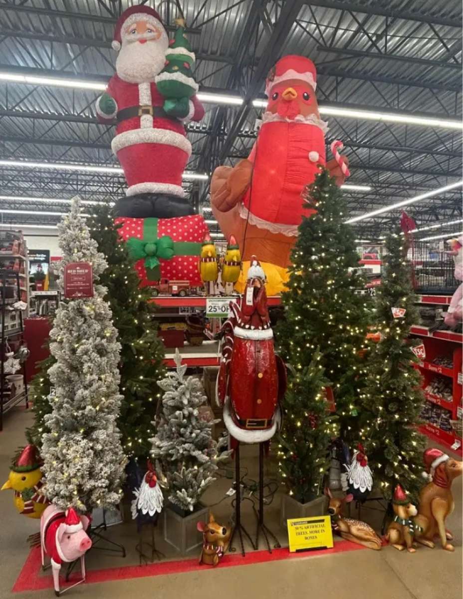 all live and artificial Christmas tree