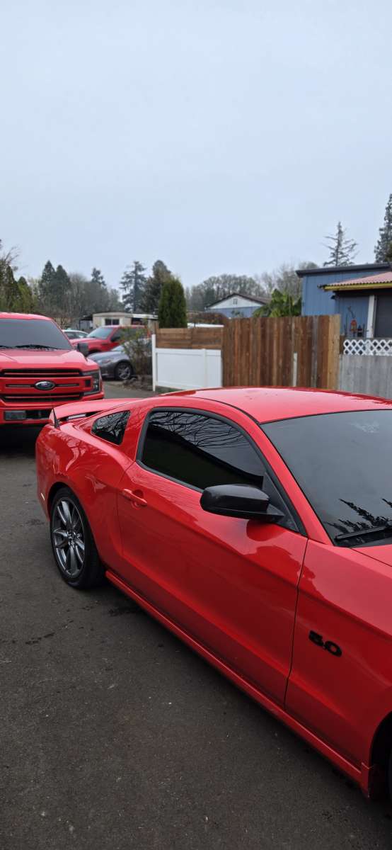 Window Tint