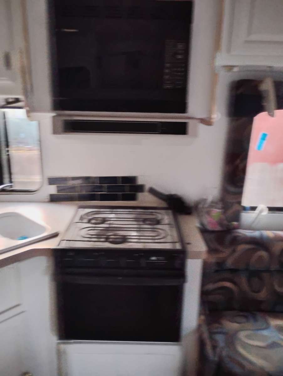 V10 TRITON 450 HEAVYDUTY