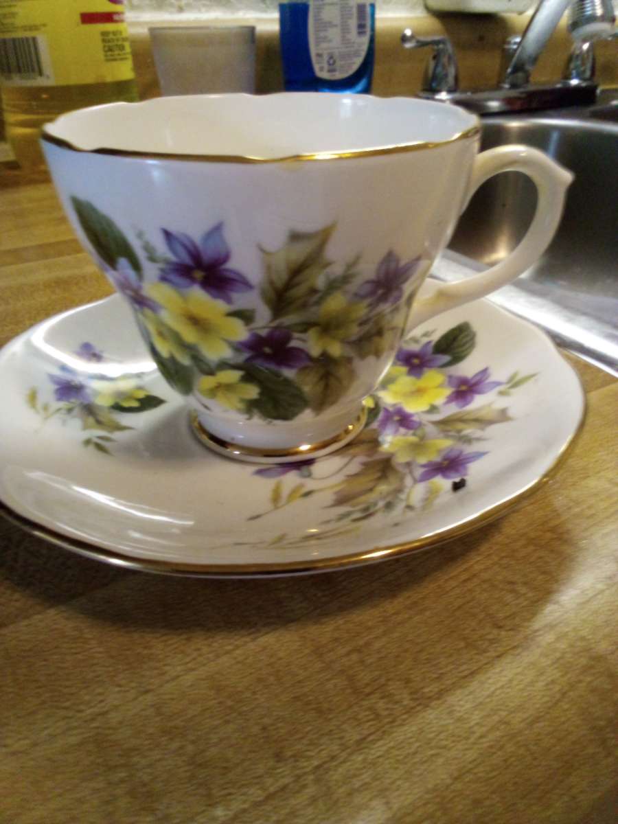 old cups and saucers all I good shape deer isnt old 7dollars