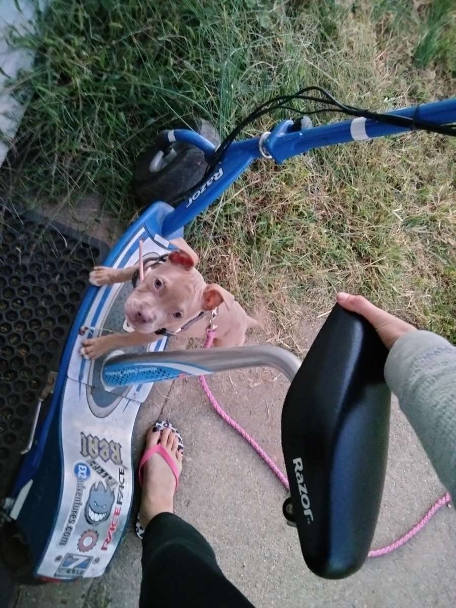 seated razor scooter e300