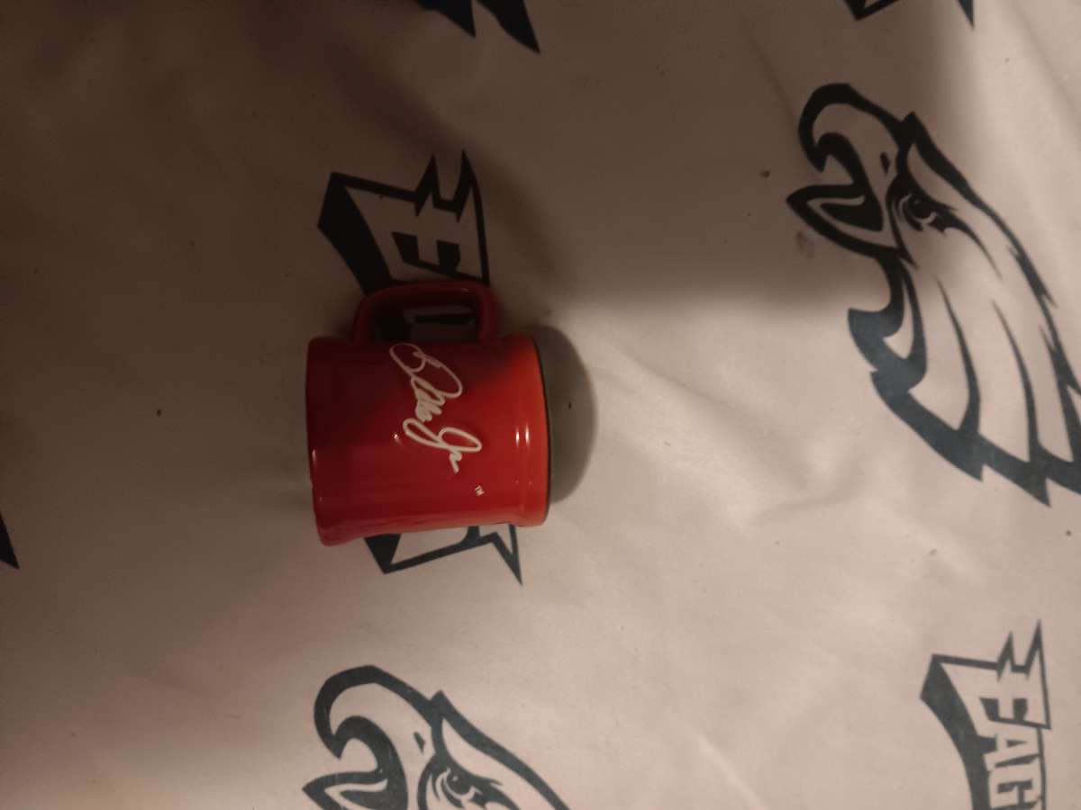 Nascar dale earnhardt collectible mini mug