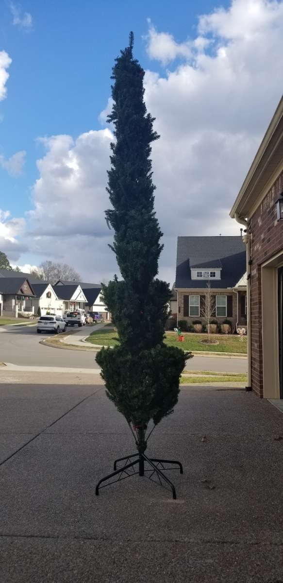 12 ft Slim Christmas tree cashmere with 1100 Led lights