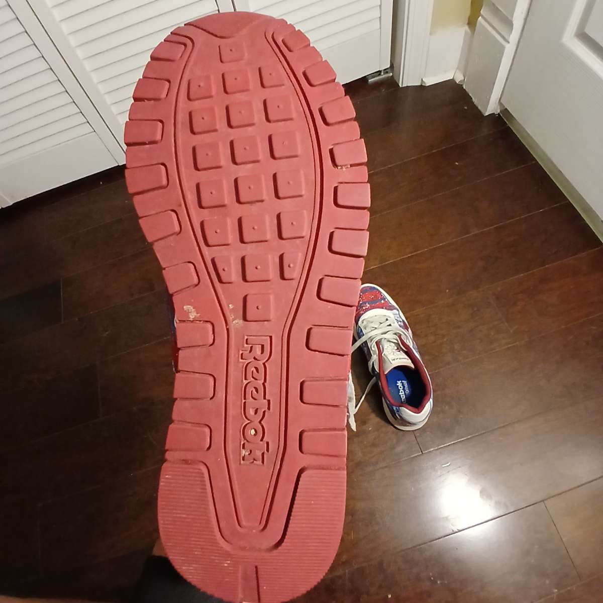 Reebok Classic personally painted for men size 9