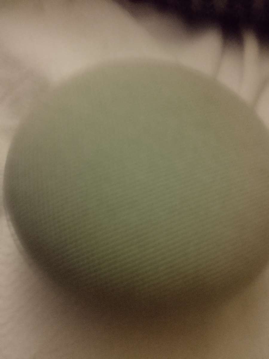 a Google nest Bluetooth speaker