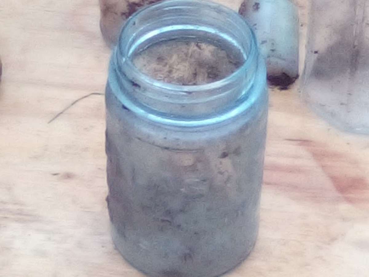 vintage jugs and bottles used but still in great shape