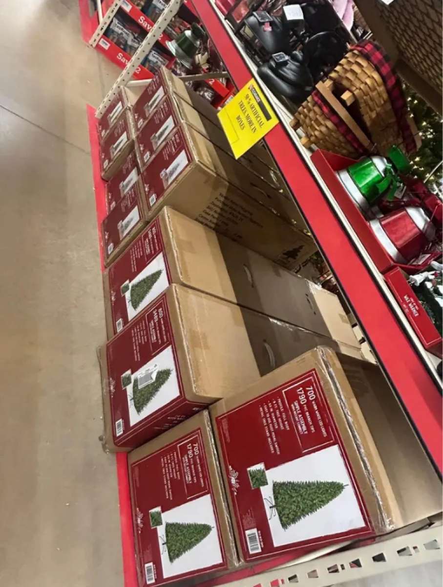 all live and artificial Christmas tree