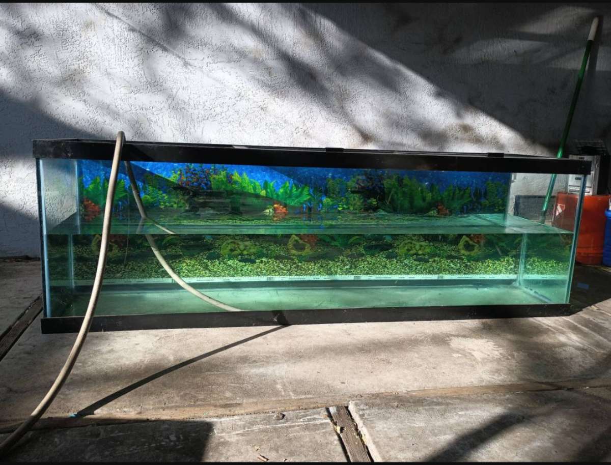 125 Gallon Fish Aquarium
