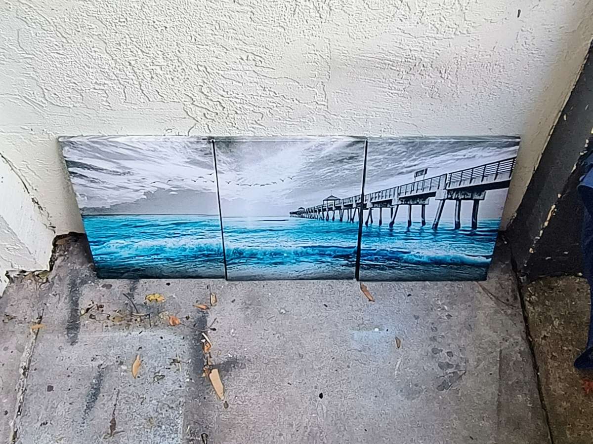 3 Piece Canvas Wall Art