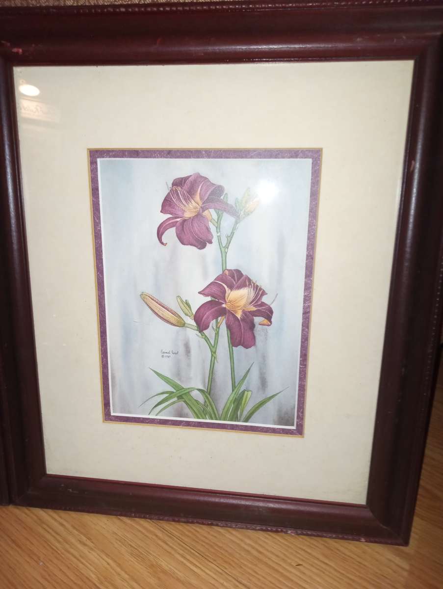 a set of beautiful lilies to add to ur home