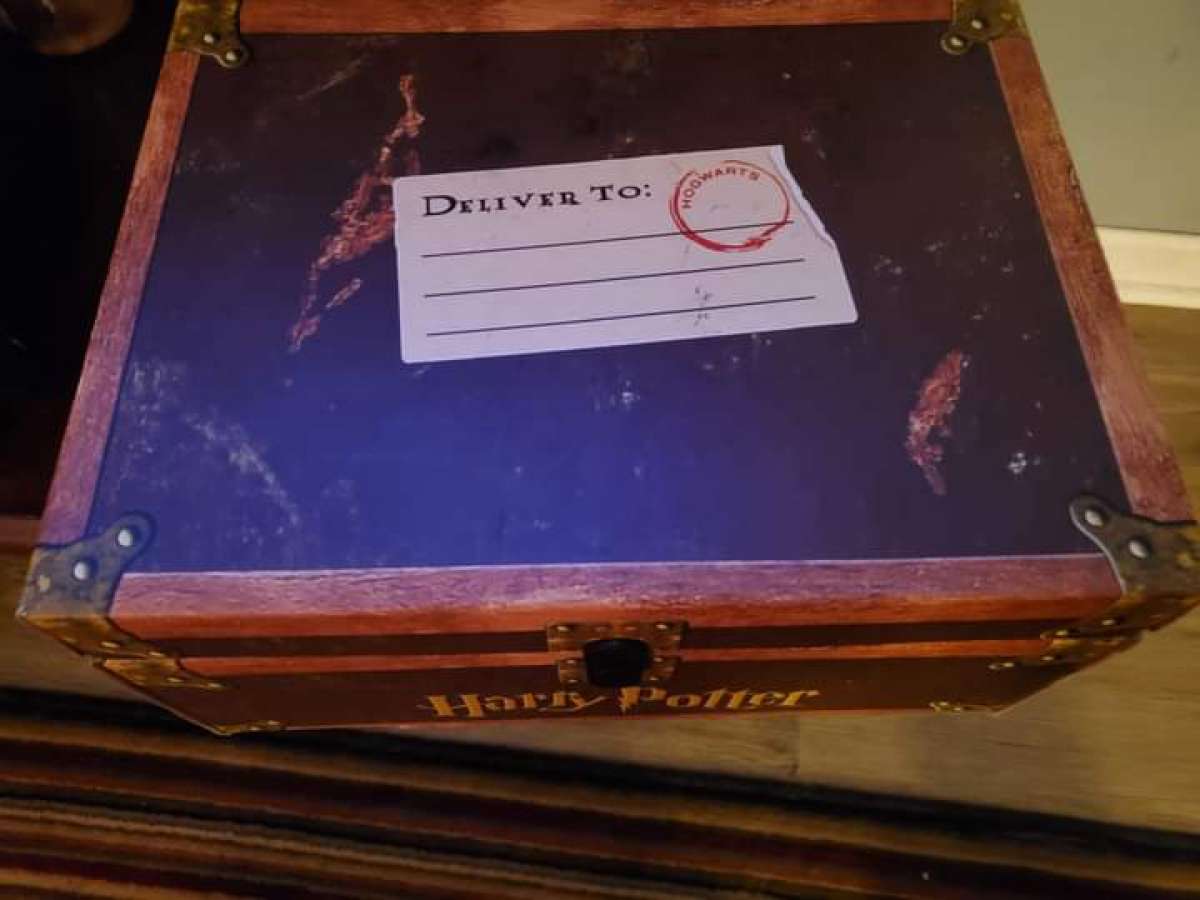 Harry Potter Book Chest