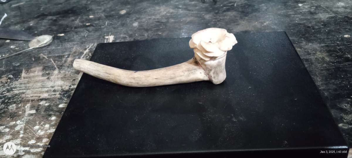 handcrafted deer antler pipe