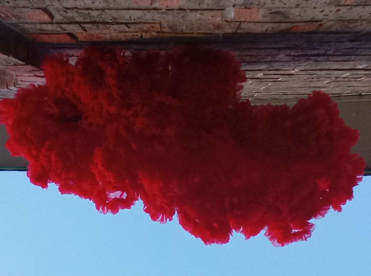 4 to 5yrs Red TuTu Pettiskirt NWT Button Cinchers