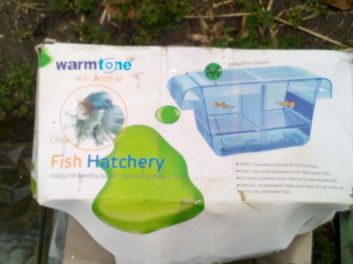 fish tanks and stuff