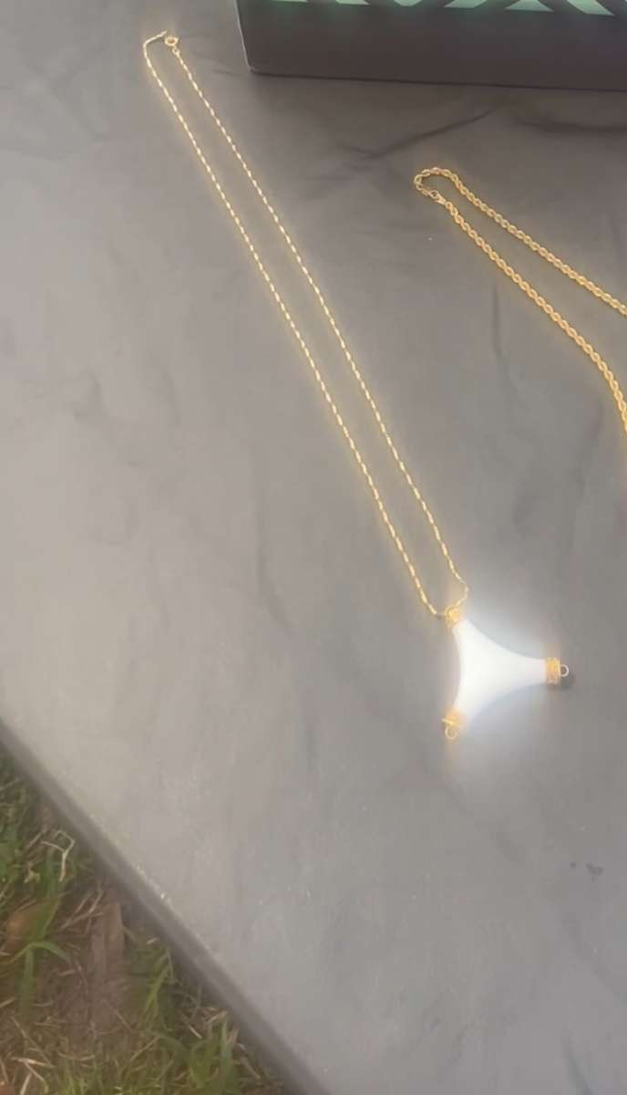 2 New Gold Plated Necklaces