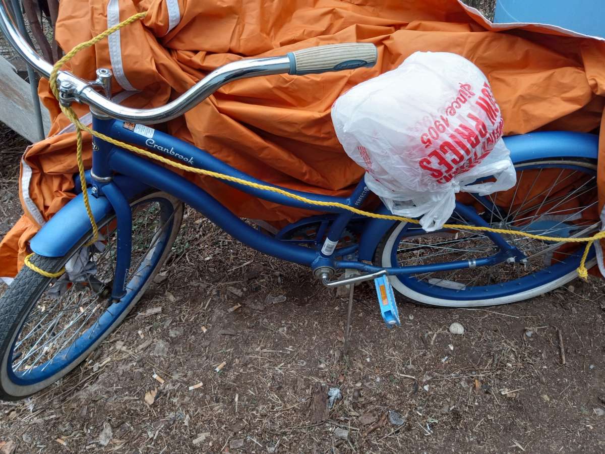 Huffy Cranbrook Cruiser