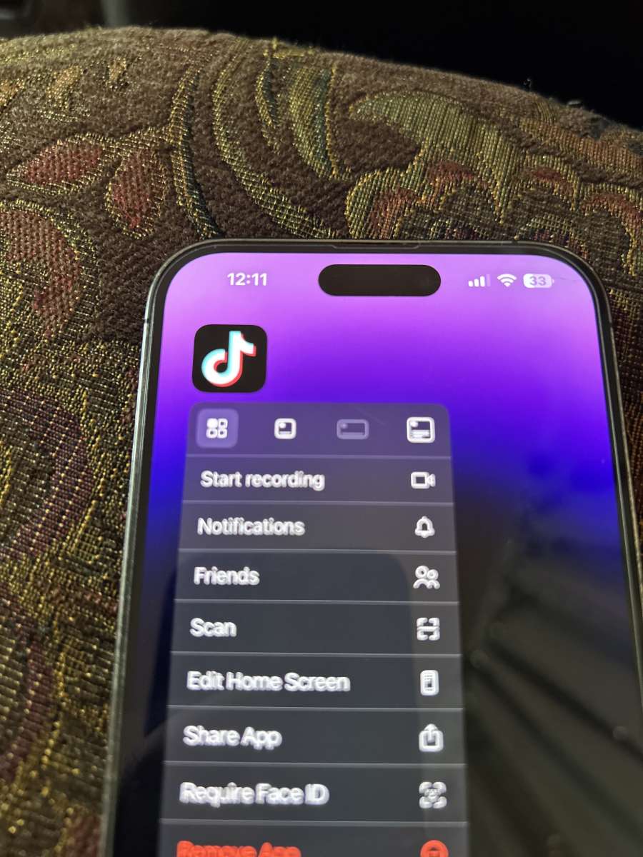 iPhone 14 Pro Max with TikTok