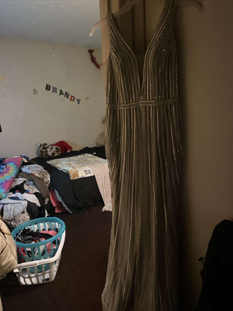 princess devine prom dress