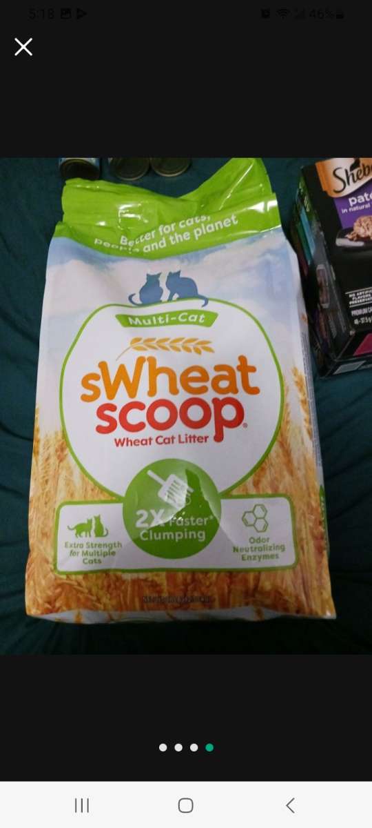 BRAND NEW CAT FOOD AND LITTER