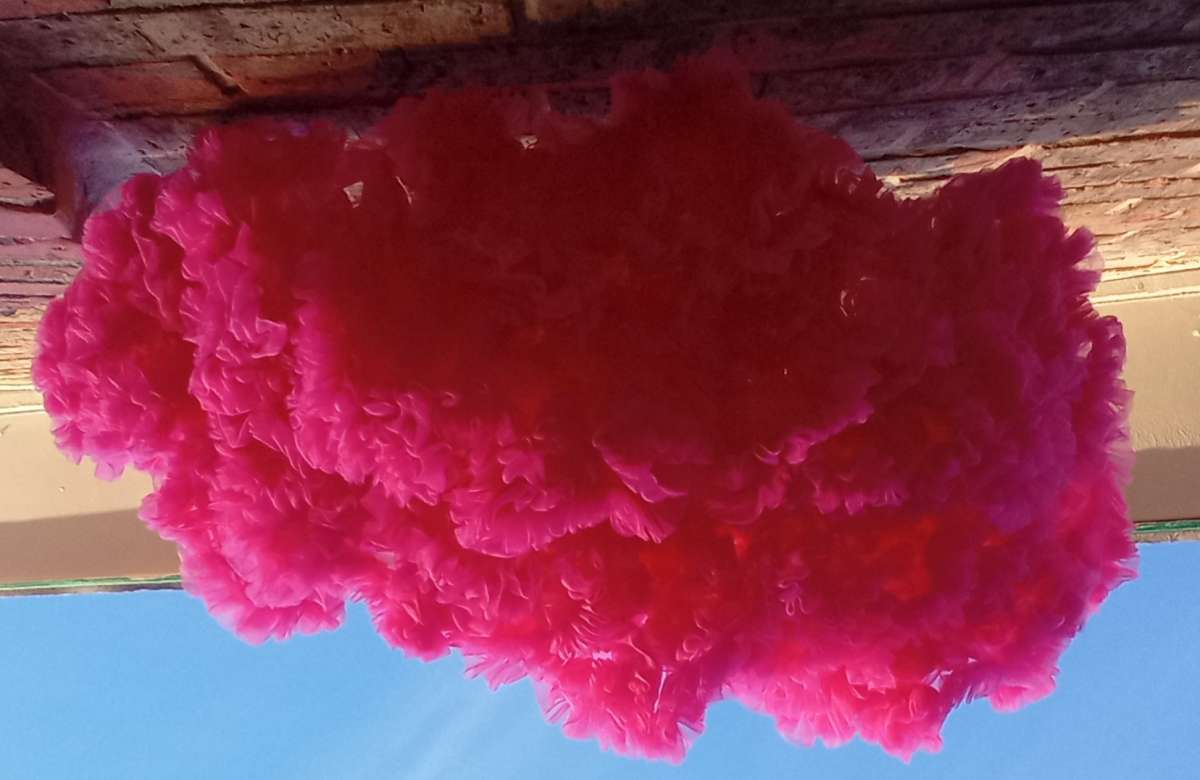 2 to 3yrs Hot Pink TuTu Pettiskirt EUC Button Cinchers