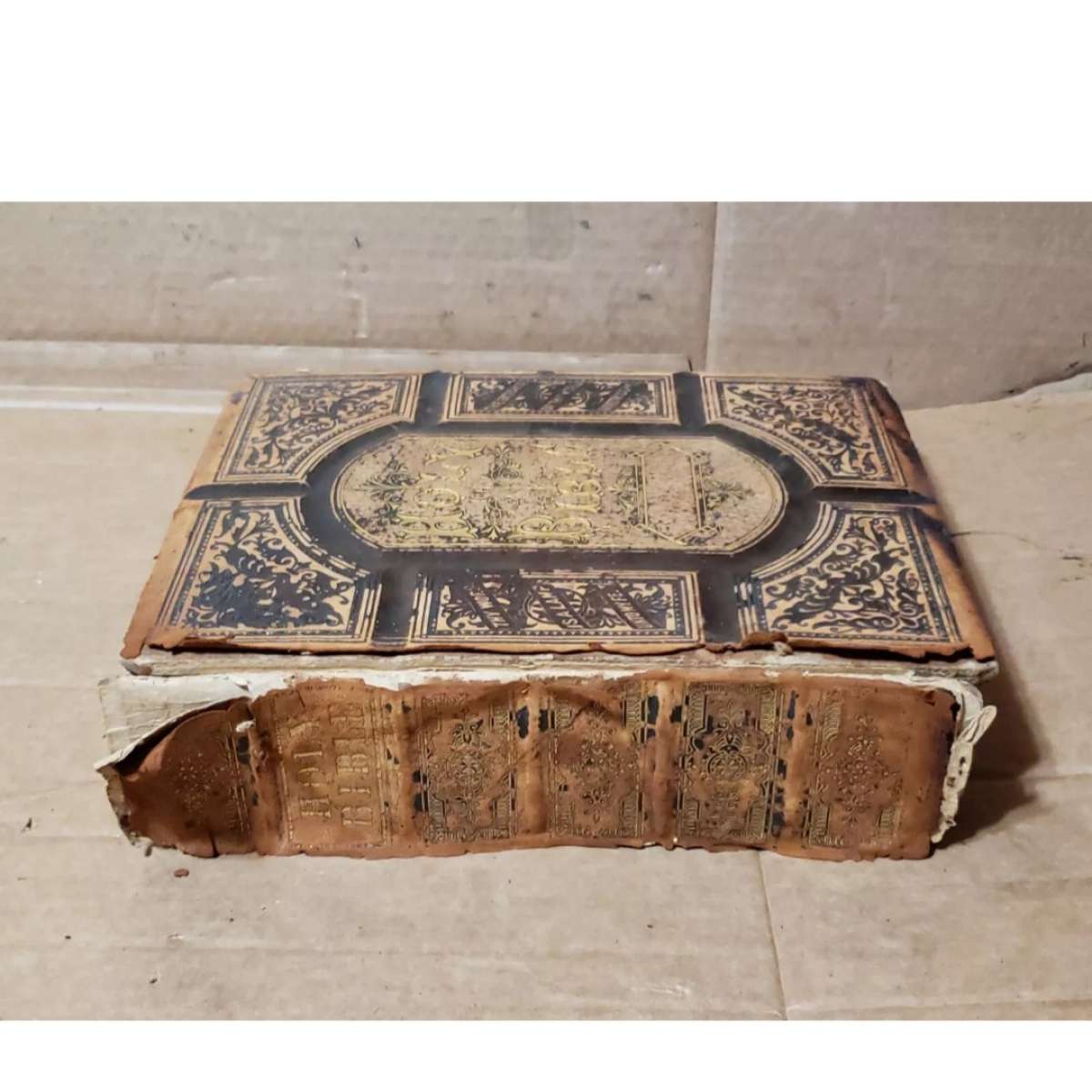 The Holy Bible  Philadelphia William W Harding 1876