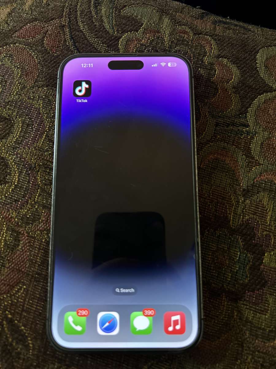iPhone 14 Pro Max with TikTok