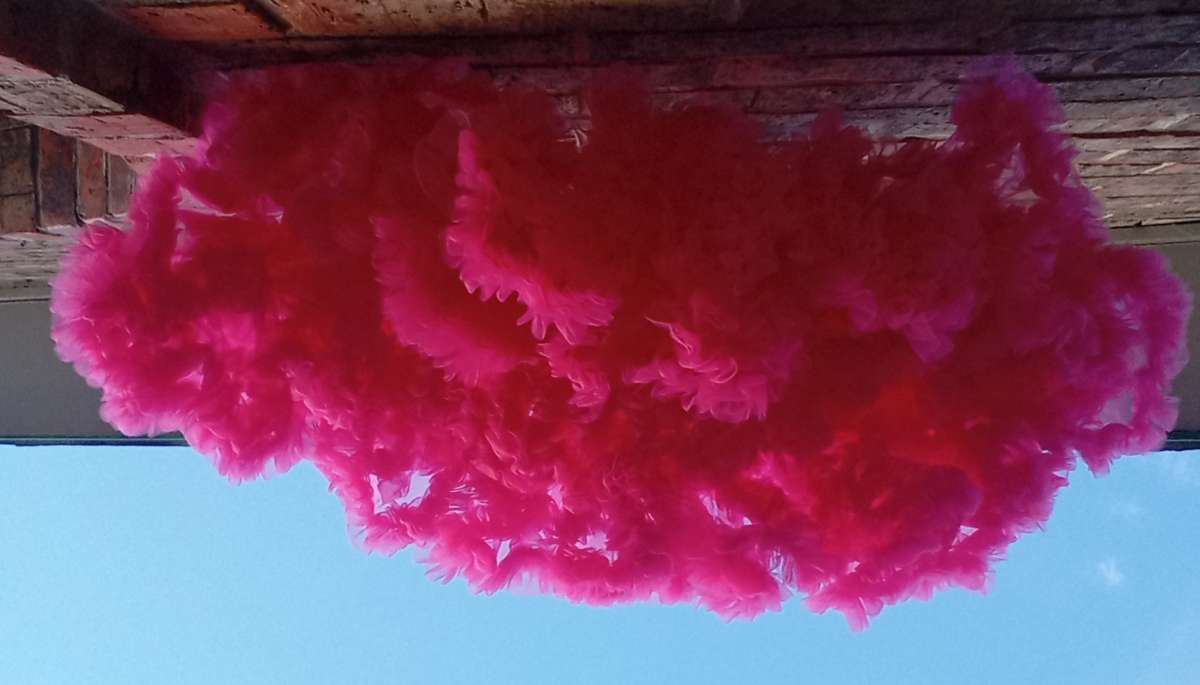 4 to 5yrs Hot Pink TuTu Pettiskirt EUC Button Cinchers