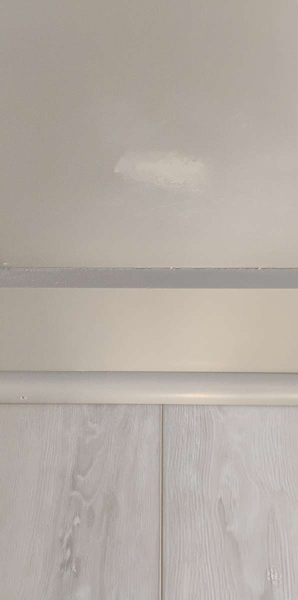 Residential and Commercial cleaning