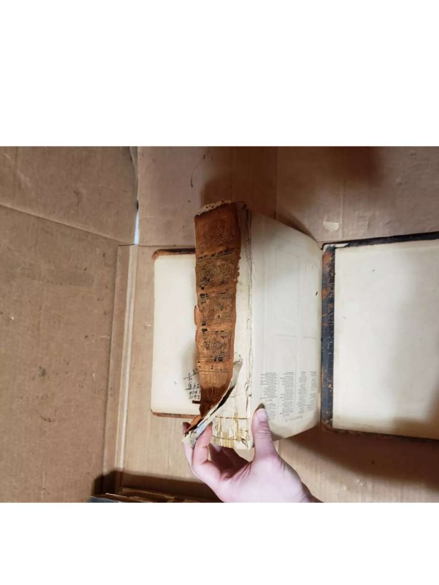 The Holy Bible  Philadelphia William W Harding 1876