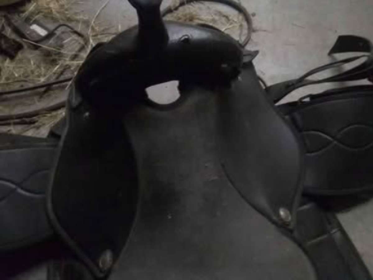 horse saddle