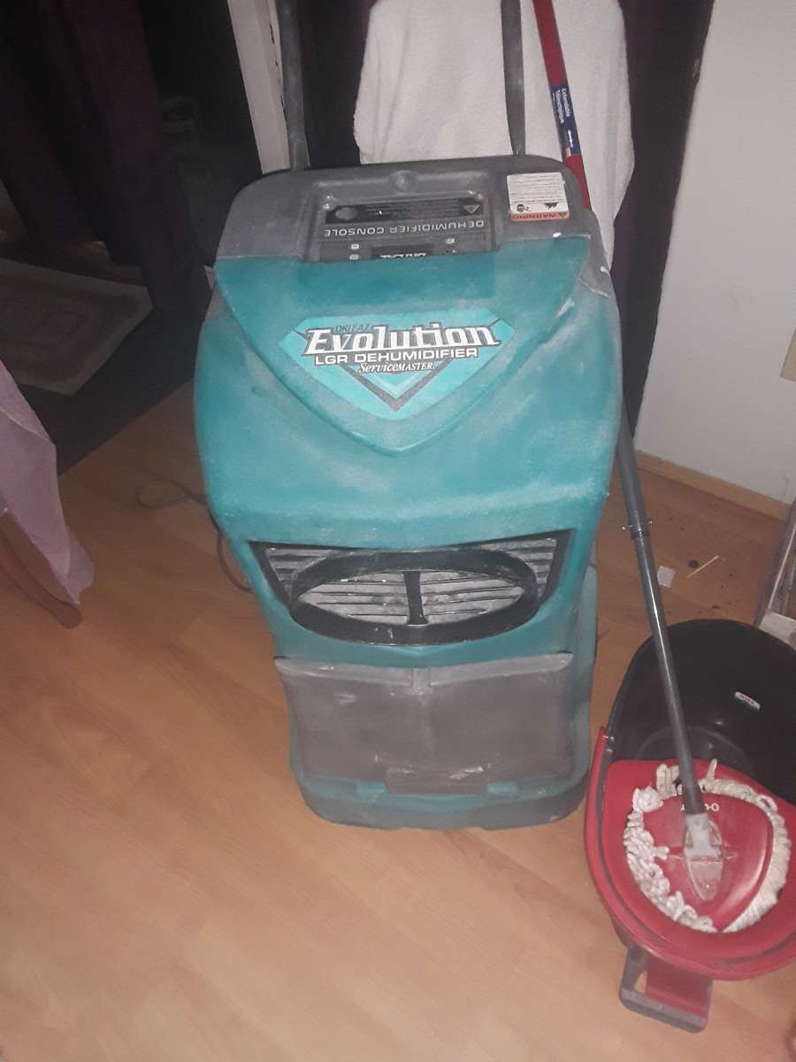 de humidifier