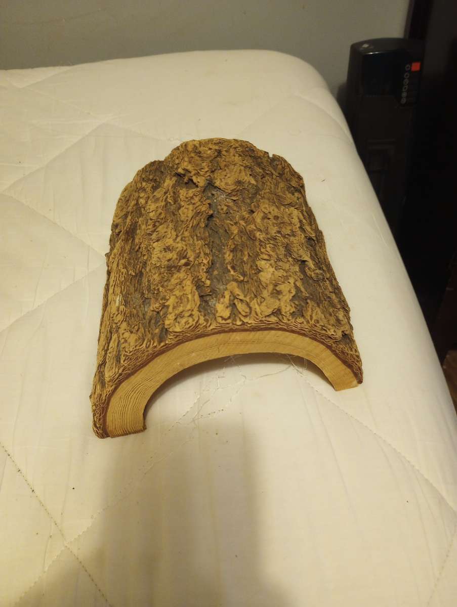 Large Hanna Hut  Reptile Hide