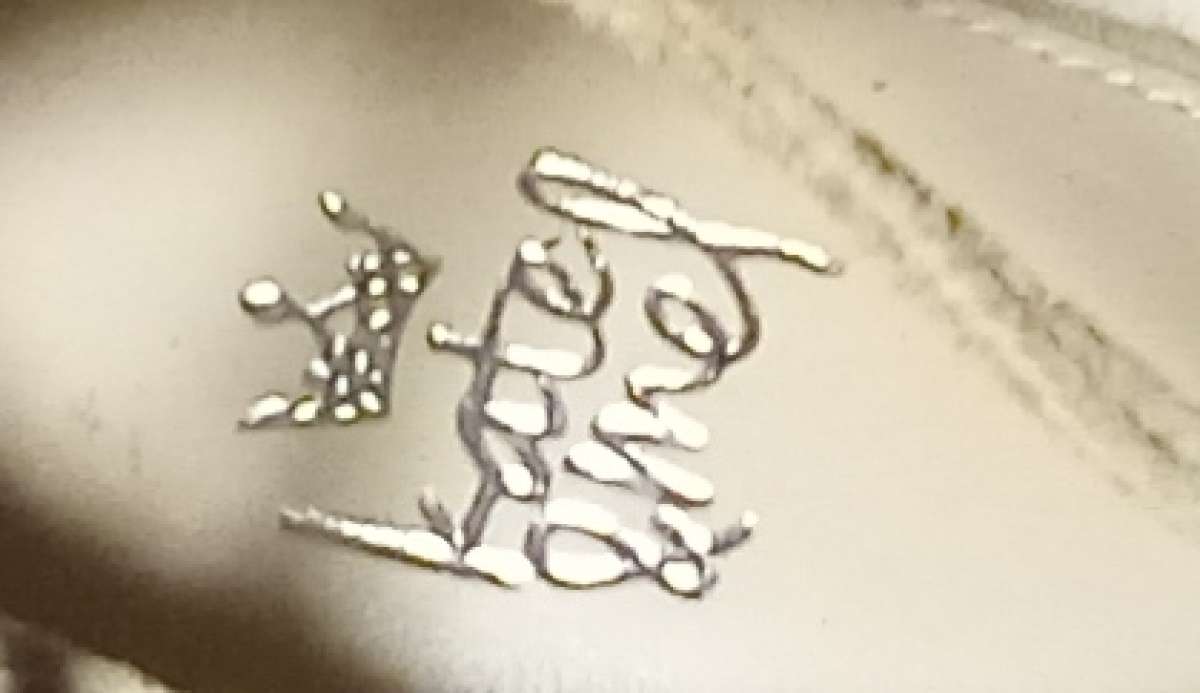 Womans Pointed Ballet flats