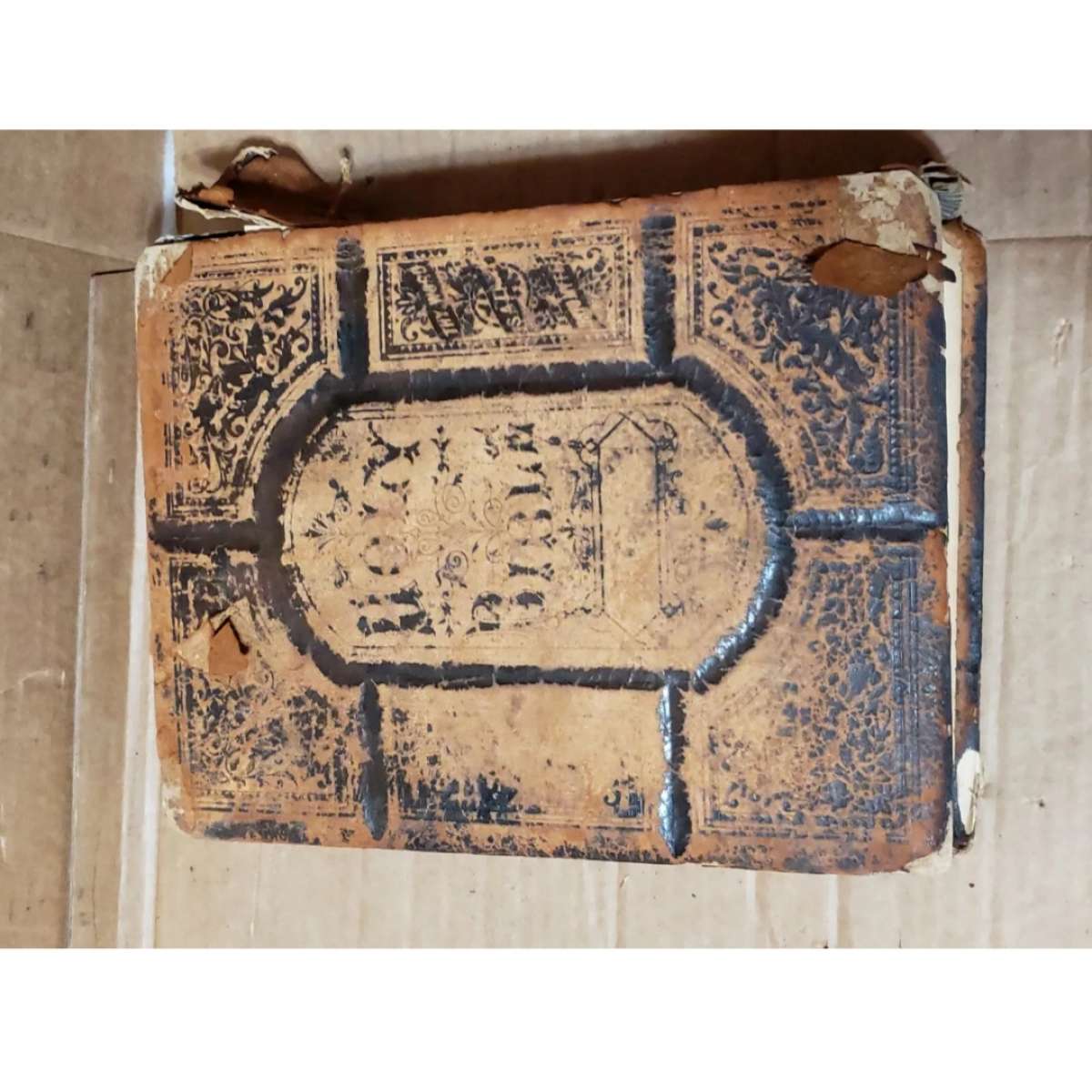 The Holy Bible  Philadelphia William W Harding 1876