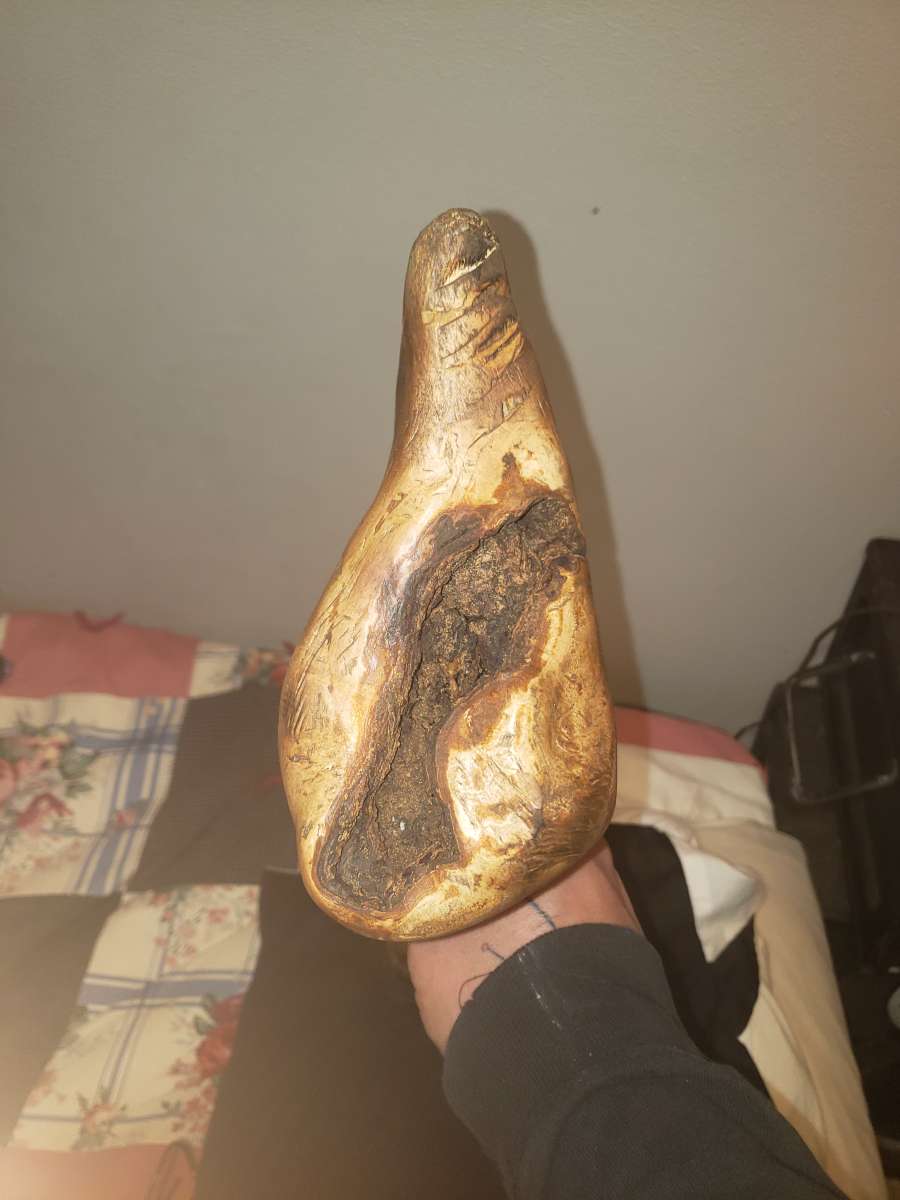 native American powwow club