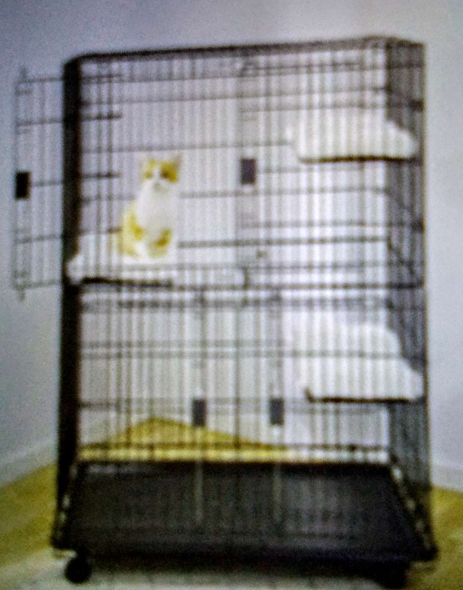 Frisco collapsible wire cage playpen