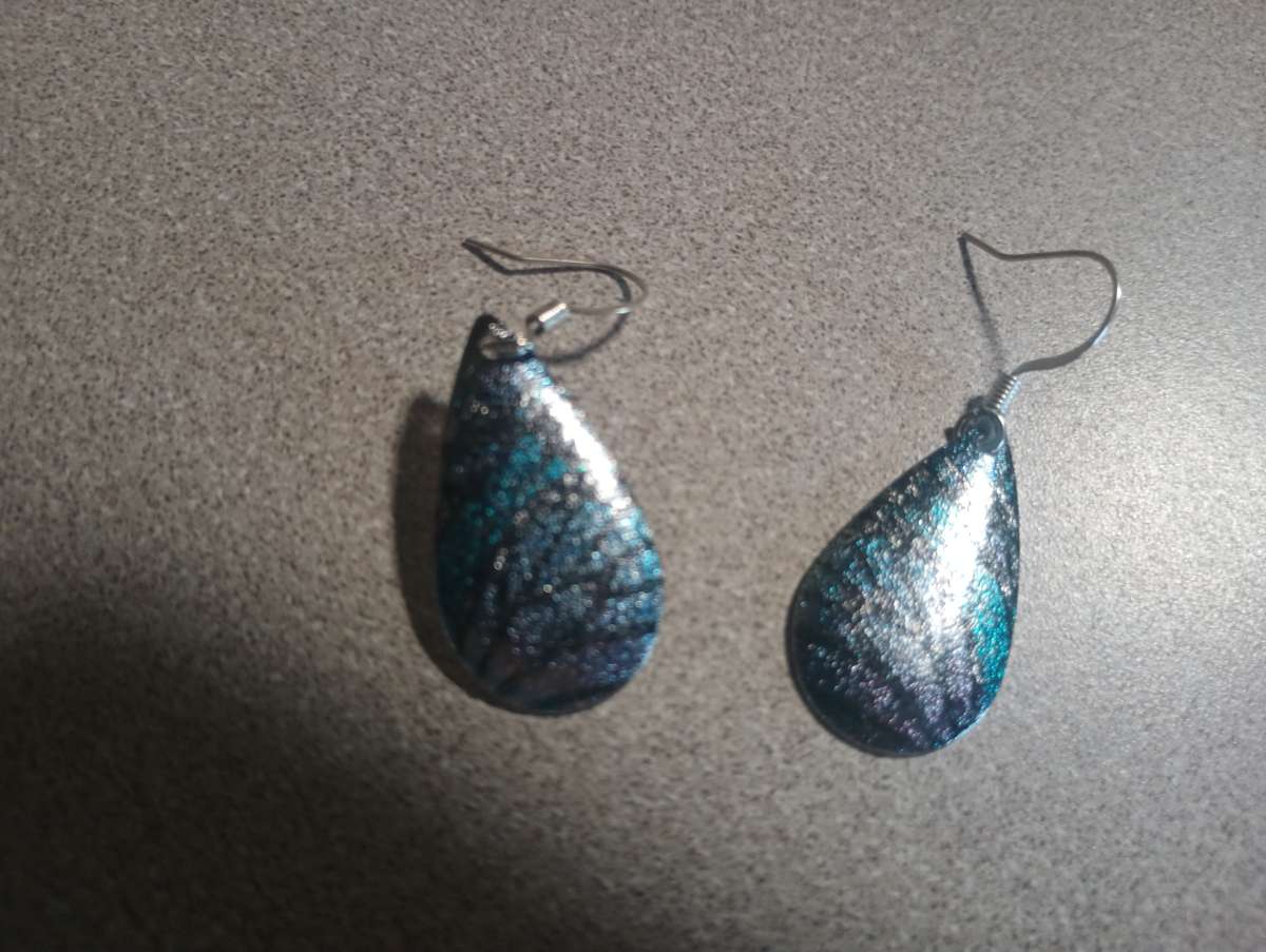 Butterfly Wing Womens Earrings