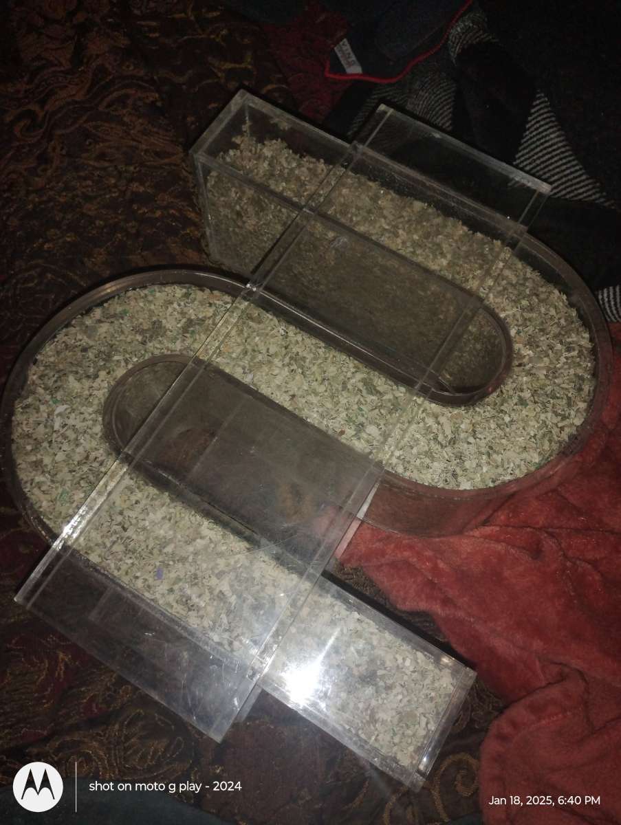 1 million dollars in a plastic money symbol container