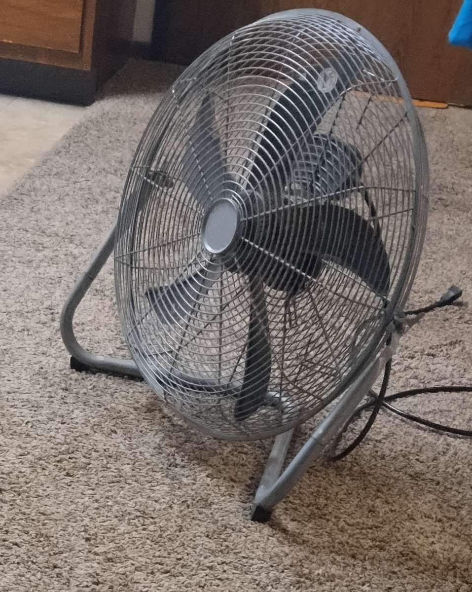 Large Gray  Fan
