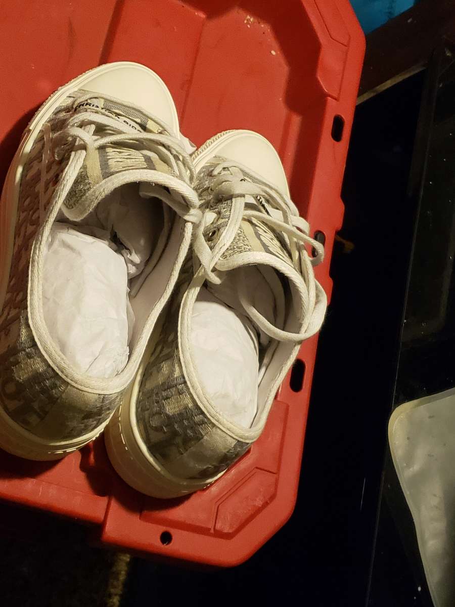 Walk N Dior sneakers