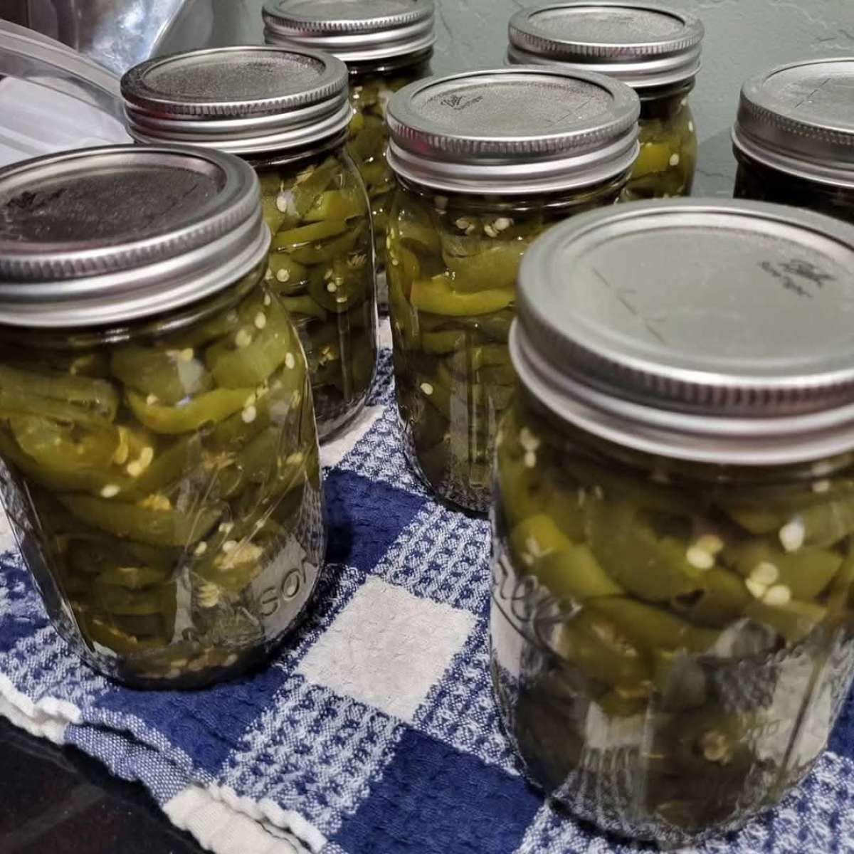 Save the date Jammin Gina and More Grand Opening Event