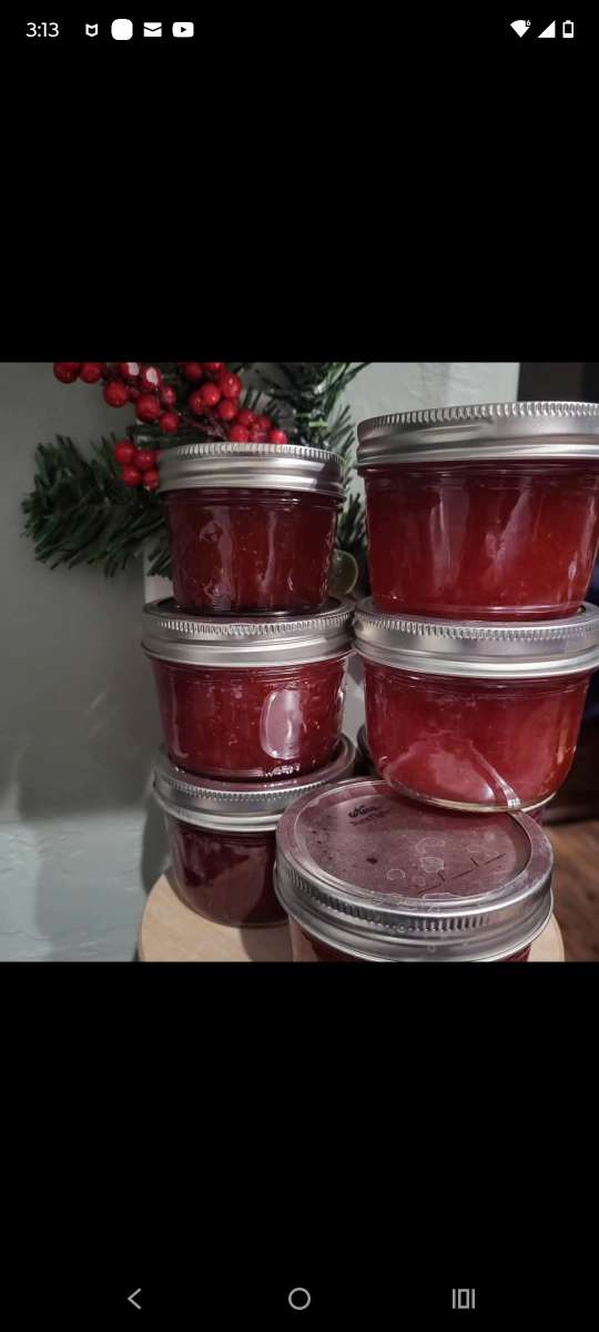 Save the date Jammin Gina and More Grand Opening Event