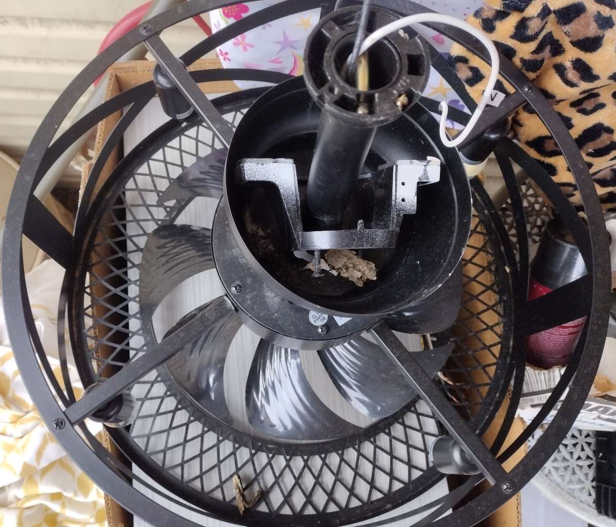 chandelier fan