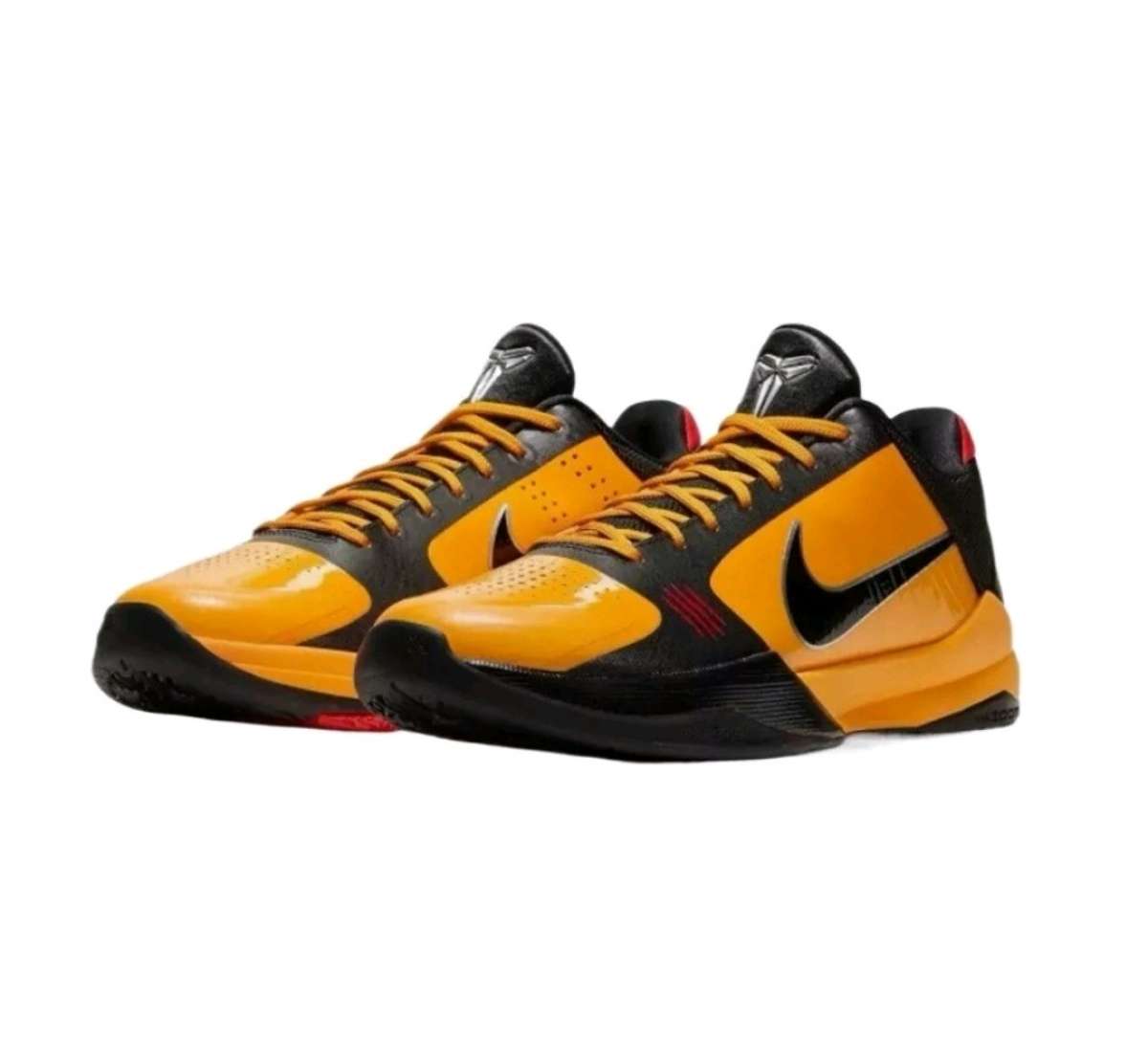 Zoom Kobe 5 Protro Bruce Lee size 10