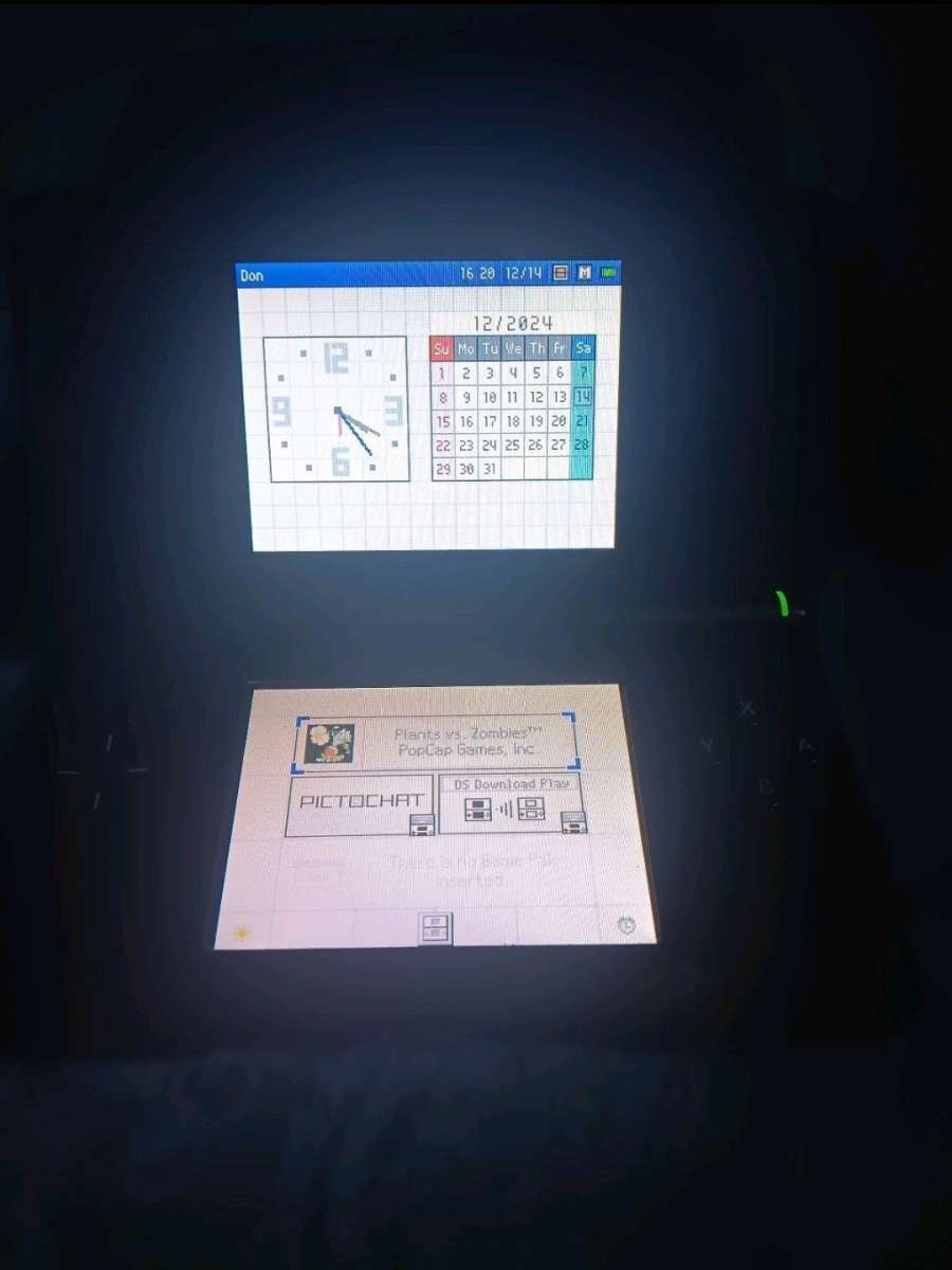 Nintendo DS Lite Bundle