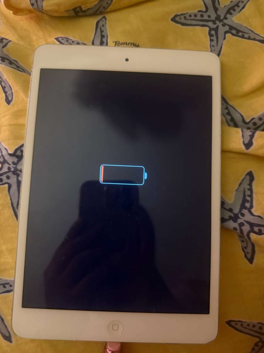 iPad mini